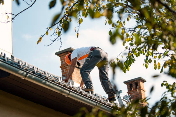 Best Roof Restoration Services  in Calcutta, OH
