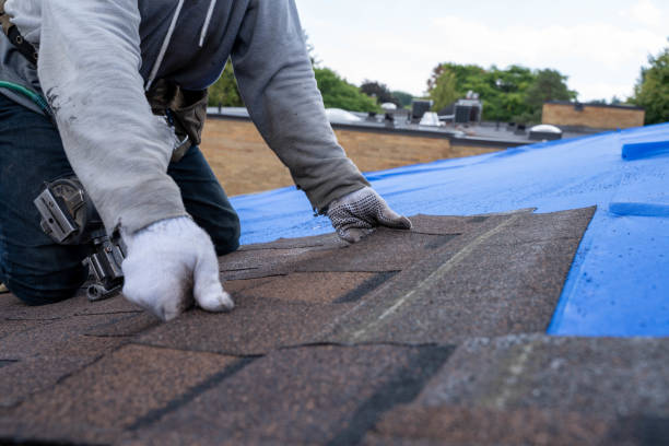 Best Best Roofing Contractors  in Calcutta, OH