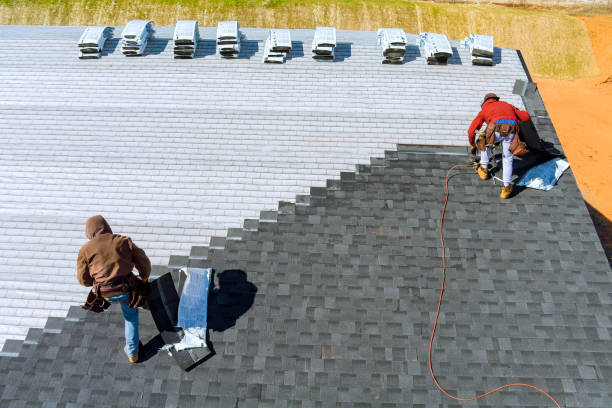 Best Roof Gutter Cleaning  in Calcutta, OH